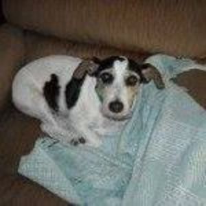 Meet your Posher, Teri